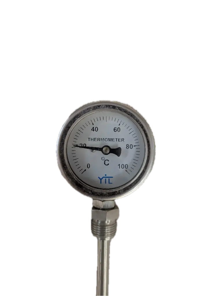 YTM-D-63-100-G04-300-L-10